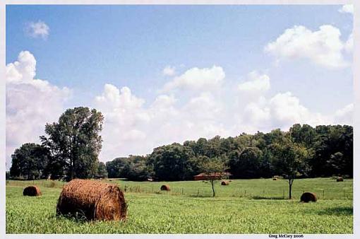 North Georgia Hayfield RE-worked-hayfield09s-copy.jpg