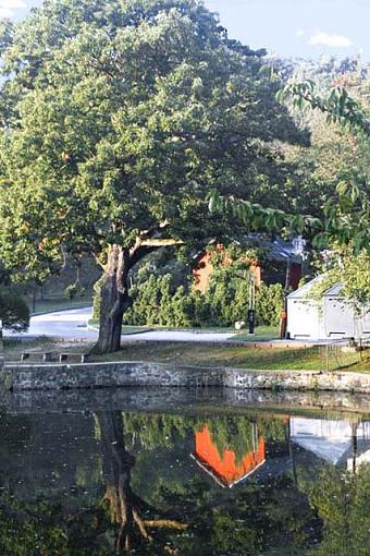 Lake Reflection - Help-reflection.jpg