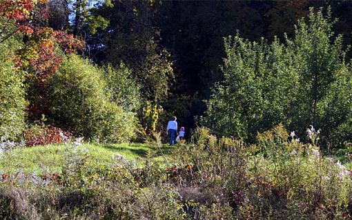 Apple Picking-apple-picking.jpg