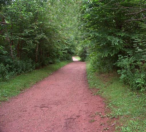 red path-cheminvert_crop1.jpg