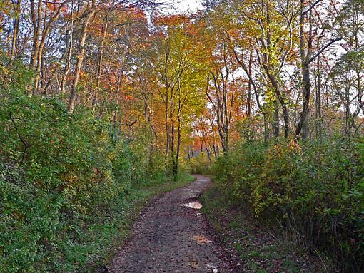 Fall Road-small1.jpg