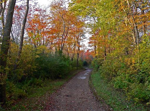 Fall Road-small2.jpg