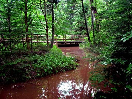 Green Gables Brook-pontpei.jpg