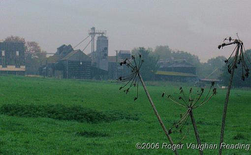 Misty Farmland-_rw_5515-copy-640.jpg