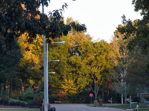 S9000 shot of My Street.-my-street-resized.jpg