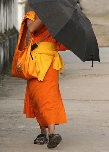 The Monk and His Umbrella-105-copy.jpg