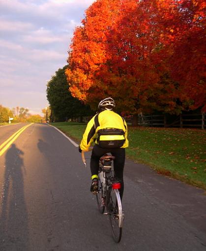 Fall. From the bike.-fall-ride-024-2-.jpg