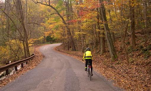 Fall. From the bike.-fall-ride-065-2-2-.jpg