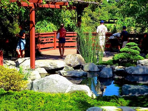 First Critique-koi-pond.jpg