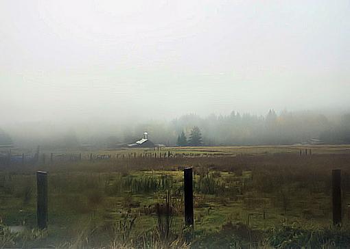 Gray day-frogfog.jpg