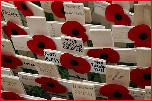 Armistice - Remember the Fallen-poppies-01-jpg.jpg