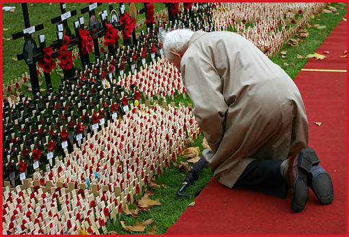 Armistice - Remember the Fallen-poppies-03-jpg.jpg