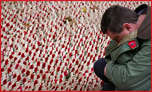 Armistice - Remember the Fallen-poppies-04-jpg.jpg