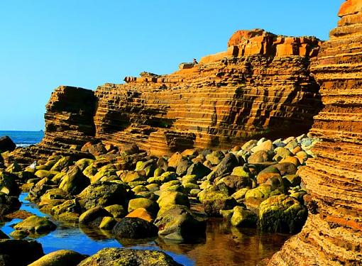 Point Loma Tide pools, San Diego, Ca.-p1000587_filtered.jpg