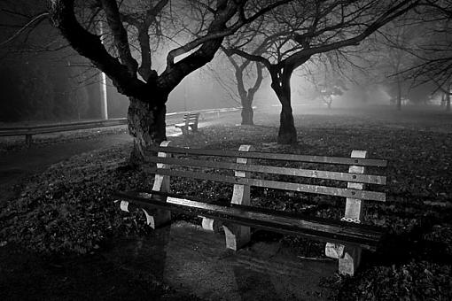 Public Servants . . .Benches-1106-1420a.jpg