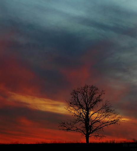 Sunset-lone-tree-silo-sunset.jpg