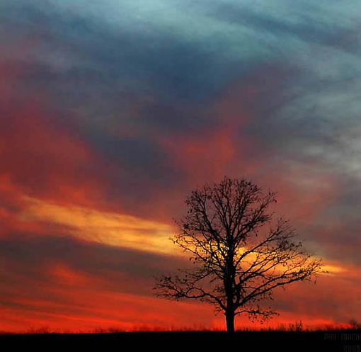 Sunset-lone-tree-silo-sunset.jpg