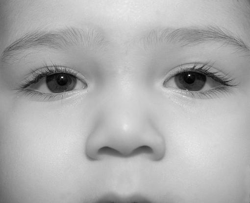 The Eyes Have It-dsc_6850-6-b-w-640.jpg