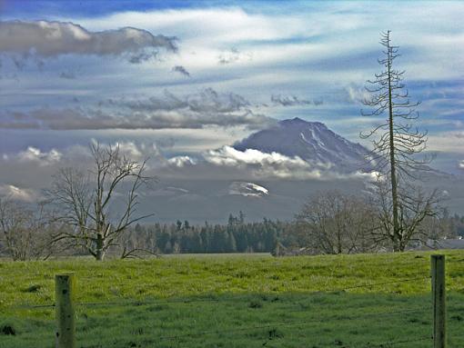 Mt. Rainier-ebay3-002.jpg