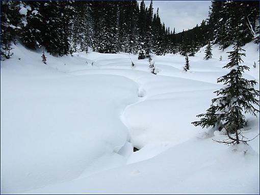 Hidden Creek-snaky-snow-pillows-1s.jpg