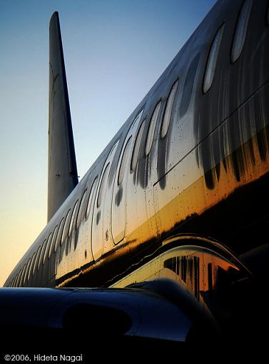 Morning on the Tarmac-am-737.jpg