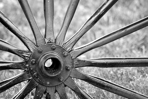 Spokes-crw_7966.jpg