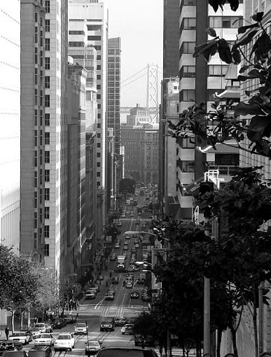 San Francisco-san_fran_bw.jpg