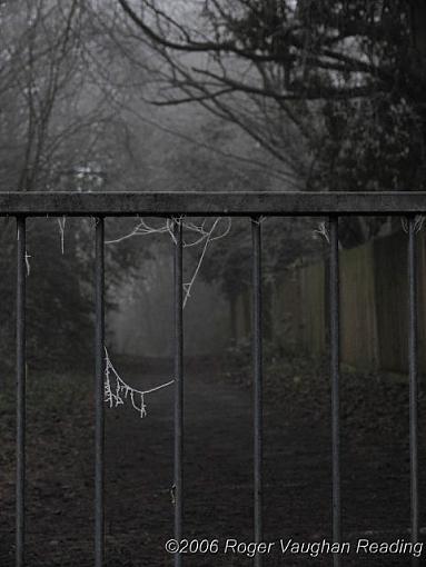 Abandoned home-e_dark_rw_6270-640.jpg