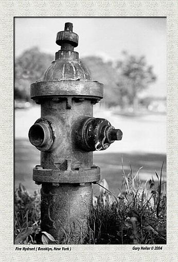 Fire Hydrant. . .  B&amp;W-firehydrant0504-362406xbwweb.jpg