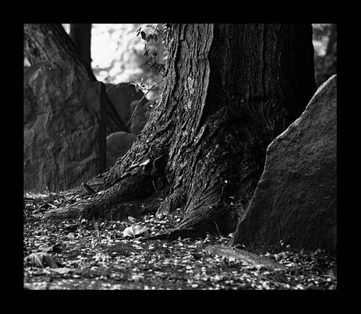 graveyard series in b&amp;w - photo #1-tombstone6_crp_lvls_rot_crp_contrast_bw_unsharp_crp_lowres.jpg