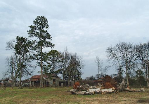 Barn II-barn-ii.jpg