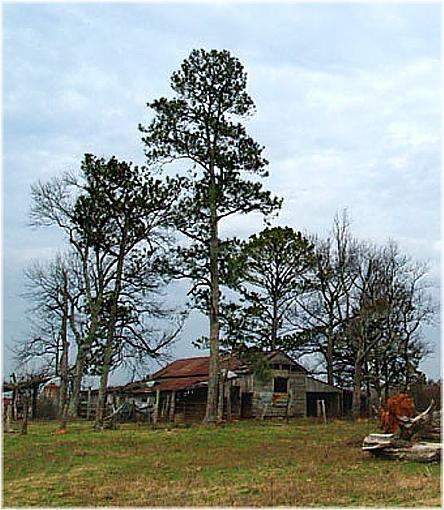 Barn II-barn-ii.jpg