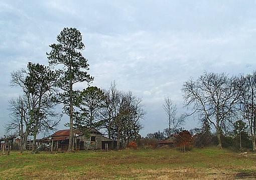 Barn II-barn-iig.jpg