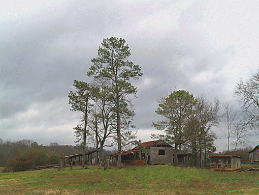 Barn III &quot;Ugly tree removal edit&quot;-barniiias.gif