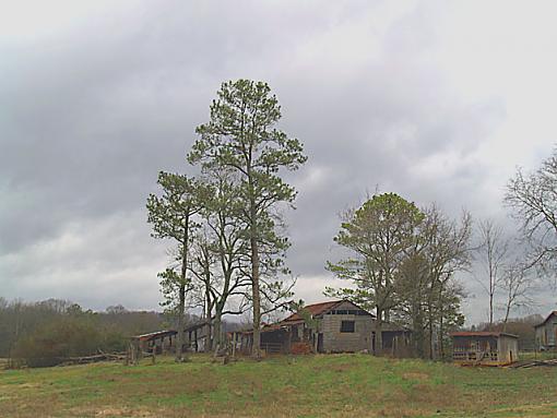 Barn III &quot;Ugly tree removal edit&quot;-barniiias.jpg