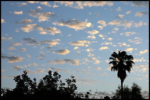 silhouette and sky-shodowandsky1.jpg