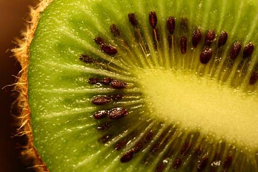 Kiwi Fruit-img_0592-copy2.jpg