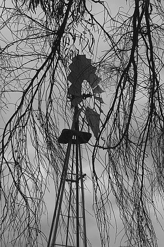 Ghosts Of Windmills Past-0181-bw.jpg