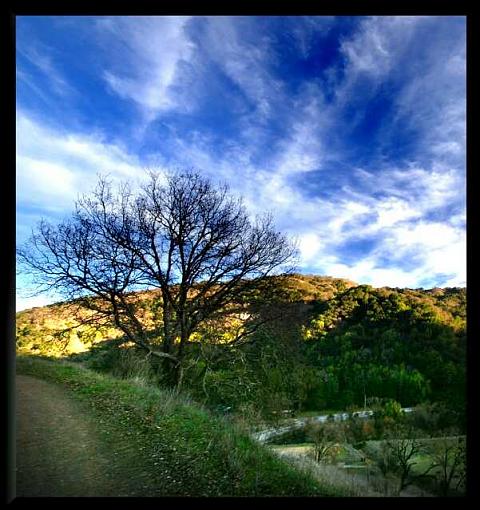 The Quicksilver Hillside;Critique please.-hilltop%2520s1.jpg