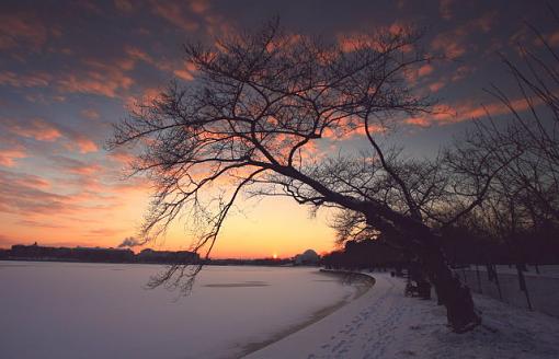 Frozen Tidal Basin-0001.jpg