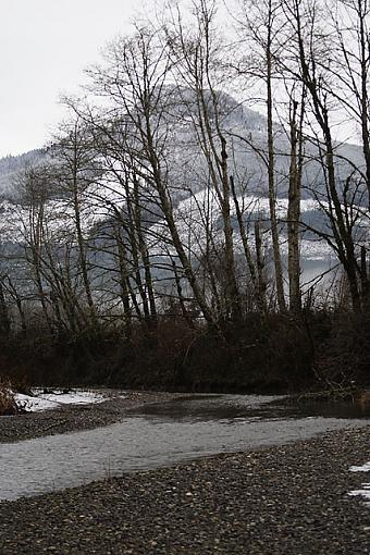 mountain and stream-img_2542_1.jpg