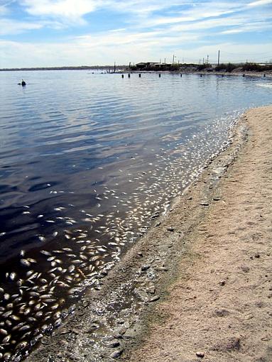 Bad Time at Salton Sea-salton_sea_2007_3_640.jpg