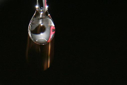 Water Light Bulb-waterbulb.jpg