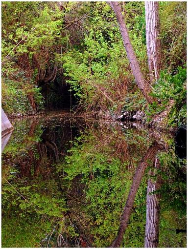 Sub-terrain reflections-180-degree-reflection-s.jpg