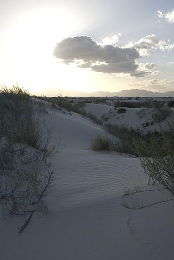 White Sands-dsc_0121_640.jpg