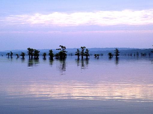 Reelfoot Lake TN Sunrise-sunrise-plain-web.jpg