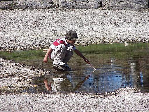 Photos in Kildonan Park-puddleboysm.jpg