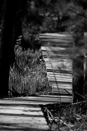 Boardwalk-dsc_6490.jpg