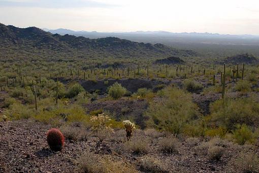 Somewhere in the desert-dsc_00300001.jpg