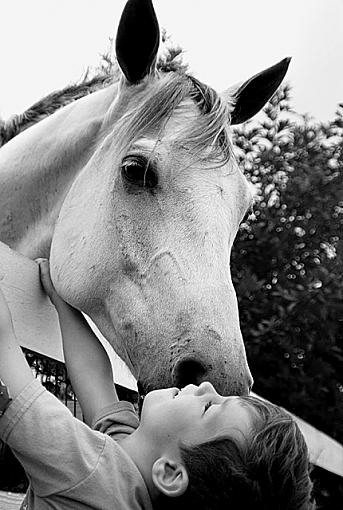 Horse Play-horsekissbw640.jpg